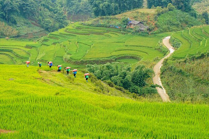 Sapa Trekking & Homestay 2 Days 1 Night - Who’s This Tour Best For?