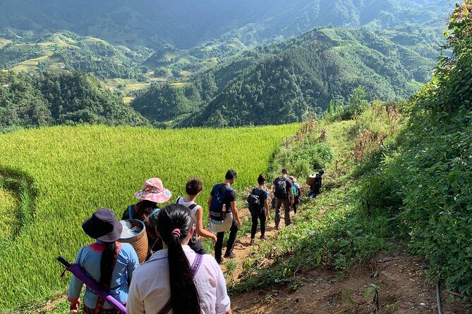 Sapa Trekking Tour 2 Days 1 Night By Bus - FAQ