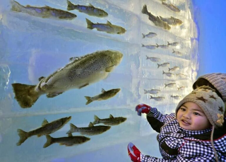 Sapporo: Lake Shikotsu Ice Festival & Hot Spring Day Trip - An In-Depth Look at the Experience