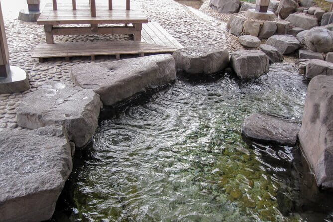 Sapporo Private Sightseeing Tour in Onsen with Special Package - Authentic Experiences and Reviews