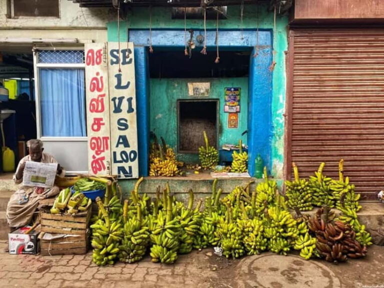 Savouring Madurai: Private Street Food Tour of Madurai ! - Practical Details: What to Expect