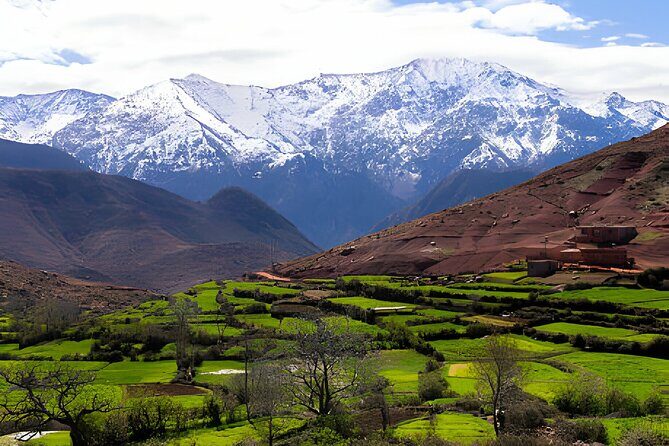 Scenic Wonders: Ourika Valley & Waterfalls Adventure - Final Thoughts