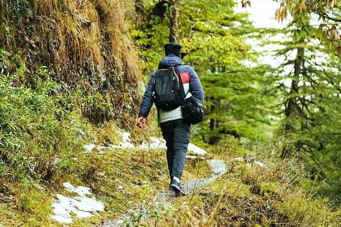 School Boy Walk - The Practicalities: What to Expect