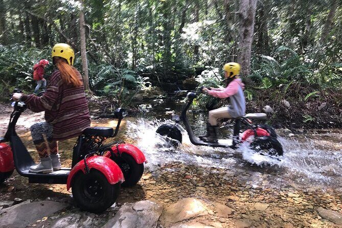Scooter Tours through Tsitsikamma National Park - Final Thoughts