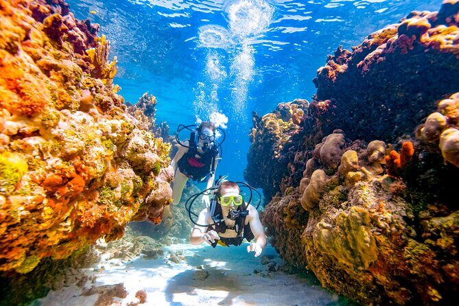Scuba Beginner Diving and Snorkeling with Lunch From Hurghada - Authentic Feedback: What Travelers Say