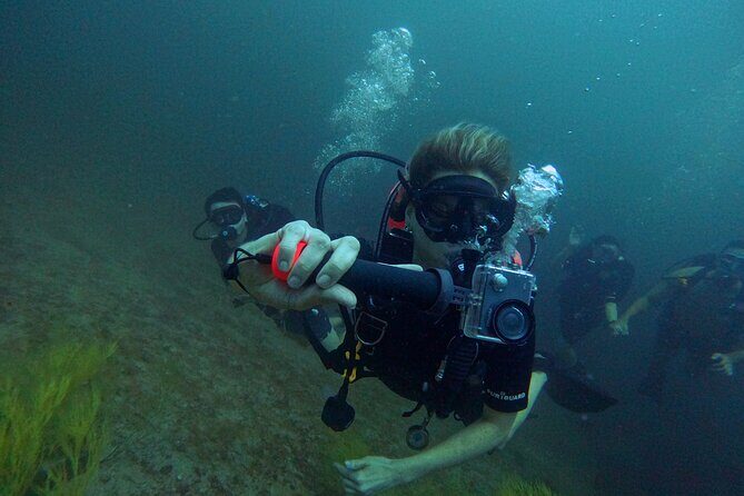 Scuba Diving Adventure in Musandam, Oman - What the Reviews Say — Authentic Perspectives
