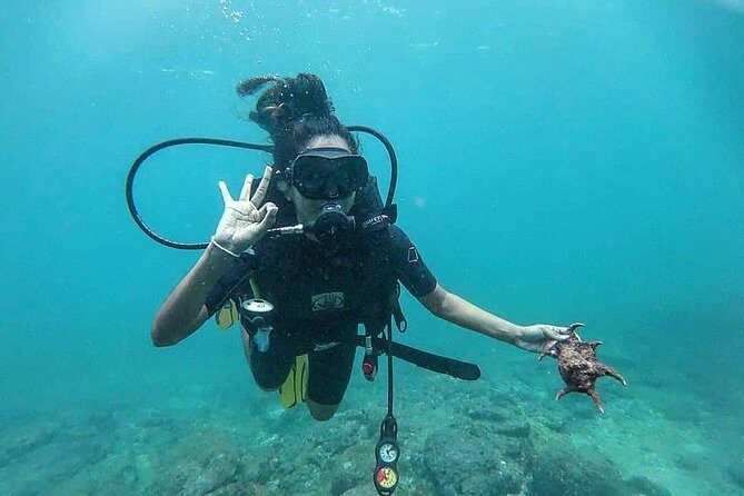Scuba Diving at Unawatuna - Exploring the Itinerary in Detail