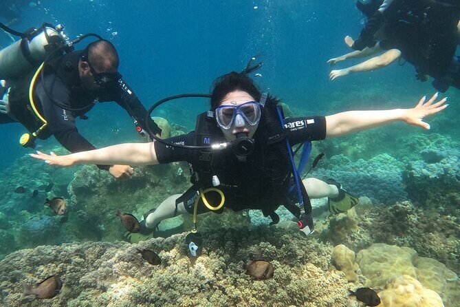 Scuba Diving Experience in Nha Trang Bay - What You Can Expect from the Experience