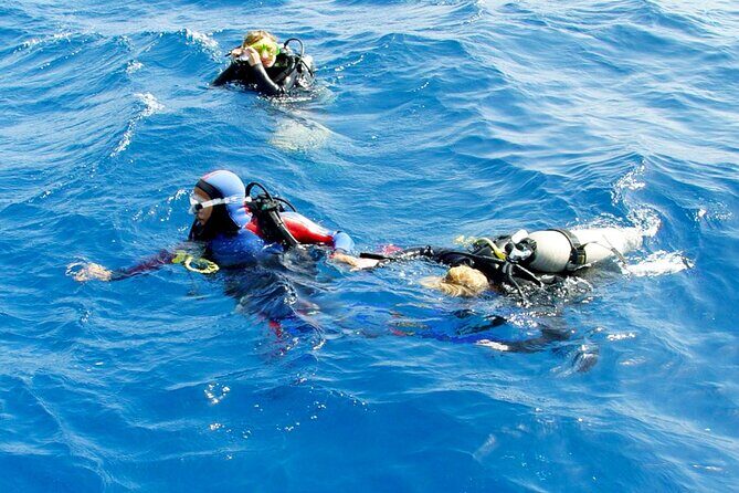 Scuba Diving Experience with Lunch & Transfer from Hurghada - What to Expect: Itinerary Breakdown