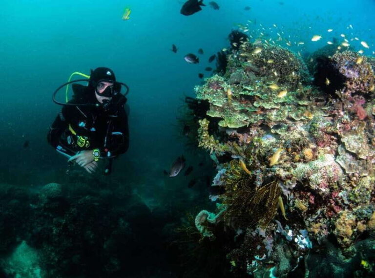Scuba Diving in Boracay: SSI Open Water Certification - What to Expect from Your Boracay Scuba Certification Experience