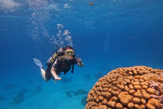Scuba Diving in Hurghada _ 2 Stops Dive With Equipments & Lunch - Why This Tour Stands Out