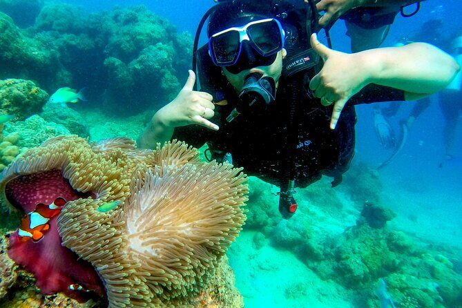 Scuba Diving in Tribe Gate - What Makes This Tour Stand Out