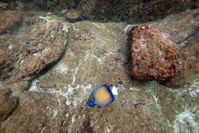 Scuba Diving in Unawatuna - What to Expect from Your Unawatuna Scuba Tour