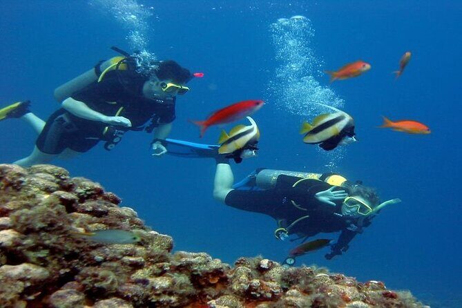 Scuba Diving Open Water PADI Course - Sharm El Sheikh - Authentic Perspectives from Participants