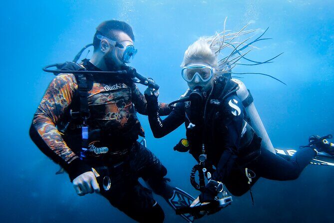 Scuba Diving Trip to Sail Rock From Koh Phangan (Certified Divers) - What to Expect on the Day