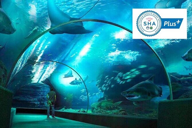SEA LIFE & Madame Tussauds: Ultimate Bangkok Combo Ticket - Practical Tips for Your Visit