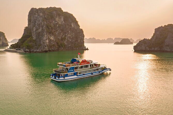 Sea Lion Luxury 5-Star Halong Day Cruise,Buffet Lunch,Shuttle Bus - Who Is This Tour Best For?