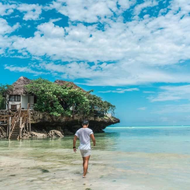 Sea turtle Sanctuary, Butterfly Center & the Rock Restaurant - Evaluating Value and Experience