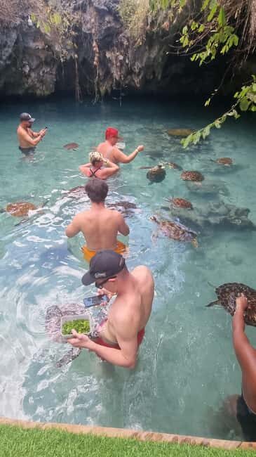 Sea Turtles (Aquarium): A hidden cave Into the Deep. - How It Compares to Other Zanzibar Tours
