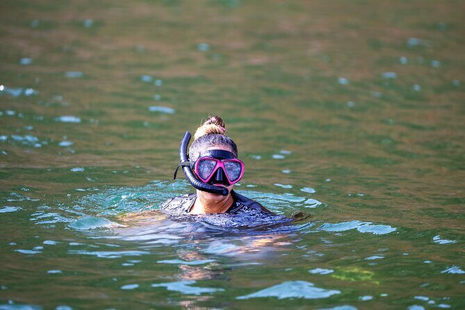 Sea Wonders Dolphin Watching and Snorkeling in Muscat - Who Should Consider This Tour?