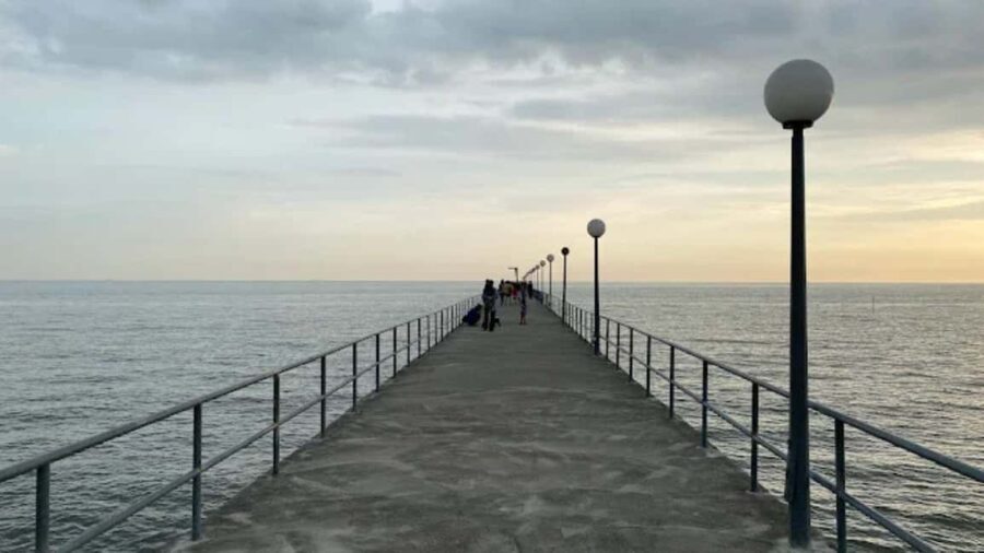Seaside Charms & Eco Discoveries: Morib to Bagan Lalang - Why Choose This Tour?