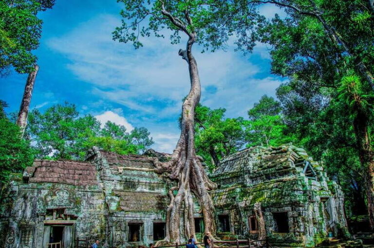Seat-In-Coach: Small Circuit tour with Sunrise at Angkor Wat - The Experience: What to Expect on This Tour