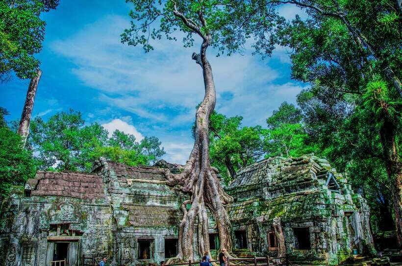 Seat-In-Coach: Small Circuit tour with Sunrise at Angkor Wat - The Experience: What to Expect on This Tour