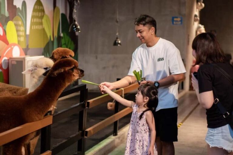 Selangor : Just Farm at Just Pets Megastore Ticket - The Highlights That Make It Special