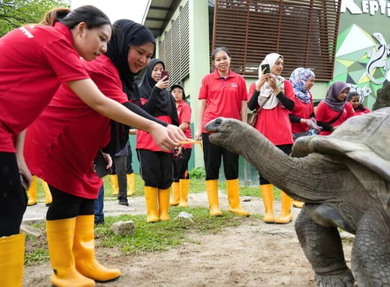 Selangor: Zoo Negara E-Ticket - Visitor Experience and Reviews: Balancing the Good and the Not-So-Good
