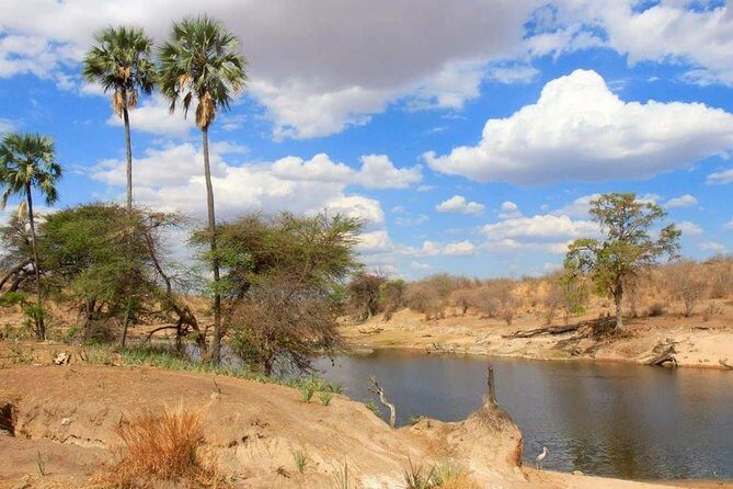 Selous Game Reserve Road Trip- Boat Safari, Game Drive And Walk Safari - Day 2: Full-Day Game Drive