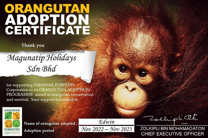 Semenggoh Orangutan Centre from Kuching - FAQ: Your Questions Answered