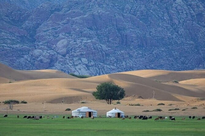 Semi-Gobi and Kharkhorum overnight private trip - Transportation and Comfort