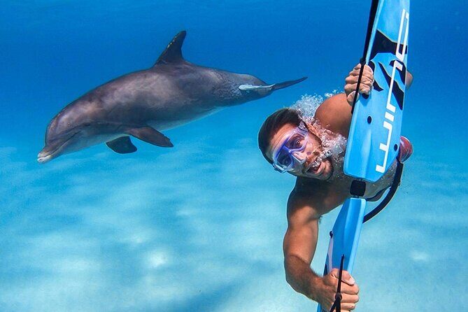 Semi Submarine Sea Trip and Parasailing & Turkish bath - Hurghada - Why This Tour Delivers Great Value