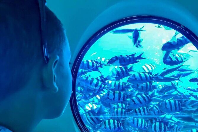 Semi Submarine Sea Trip & Diver Show With transfer - Marsa Alam - The Marine Environment Revealed