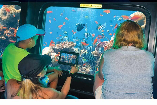 Semi-Submarine, Snorkeling Sea Trip With Transfer Hurghada - Starting Point: Convenient Pickup and Transfer