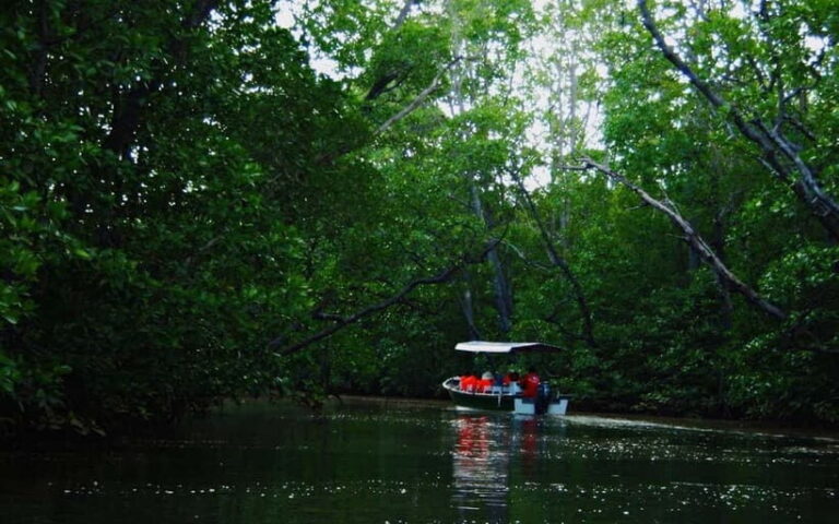 Semporna: Proboscis Monkey & Firefly Cruise with Dinner - What Makes This Tour Worthwhile