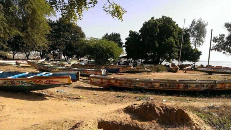 Senegal: 5 Days 4 Nights Safari & Village Tour - FAQs