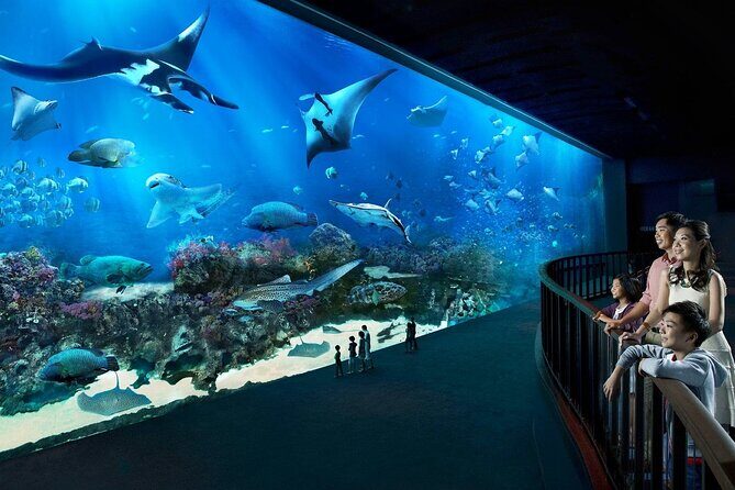 Sentosa Luxe: A Premium Half-Day Island Discovery Tour - Practical Details & What You Should Know