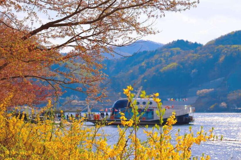 Seoul: Alpaca World & Nami Island (opt. Gangchon Railbike) - What to Expect on Your Day Trip from Seoul