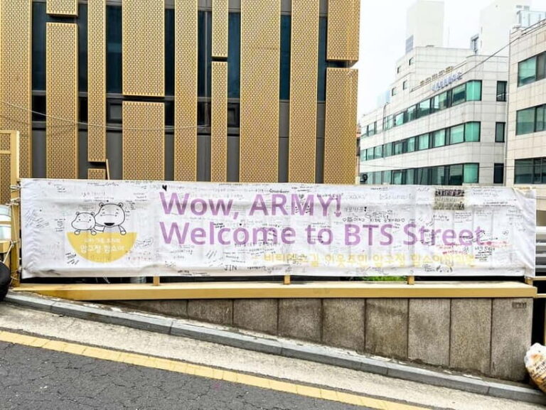 Seoul: BTS K-Pop Star Footsteps Journey ARMY Fan Day Tour - Who is This Tour Best For?