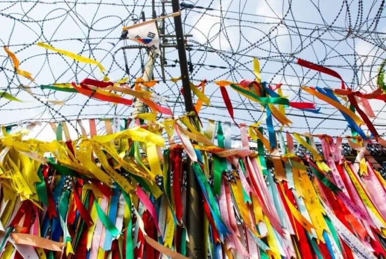 Seoul: DMZ, Gyeongbokgung Palace & City Tour - Final Thoughts: Who Will Love This Tour?