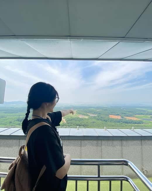 Seoul: DMZ Tour with 3rd Tunnel and Suspension Bridge Tour - Who Will Appreciate This Tour?