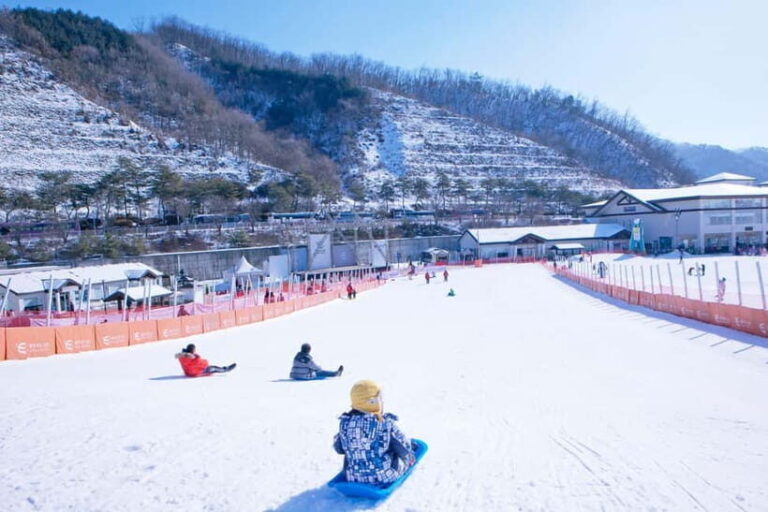 Seoul: Elysian Ski + Eobi Ice Valley + Nami - Who Is This Tour Best For?