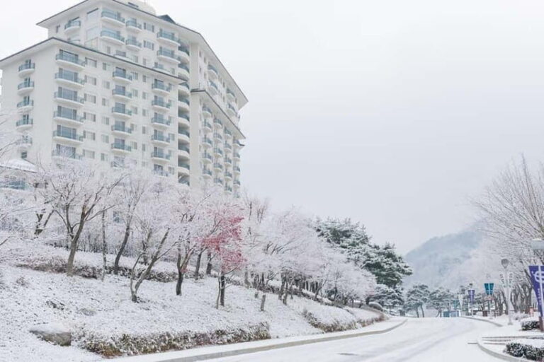 Seoul: Elysian Ski Resort & Eobi Ice Valley - Why This Tour Is a Good Choice
