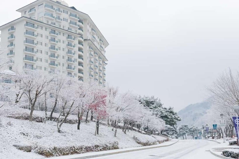 Seoul: Elysian Ski Resort & Eobi Ice Valley - Why This Tour Is a Good Choice