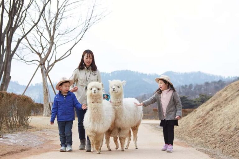Seoul: Eobi Ice Valley, Alpaca World, Nami Island and More - What the Reviews Say