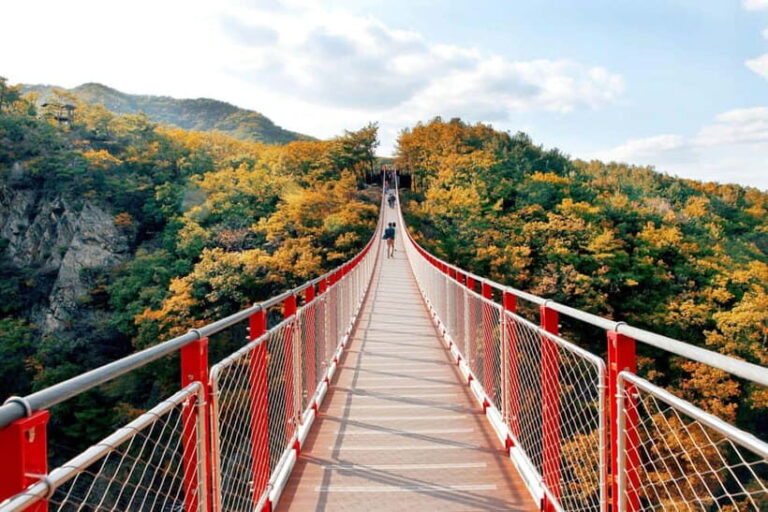 Seoul Full-Day City Tour: Hanok Village, Scenic Routes - Who Will Get the Most Out of This Tour?