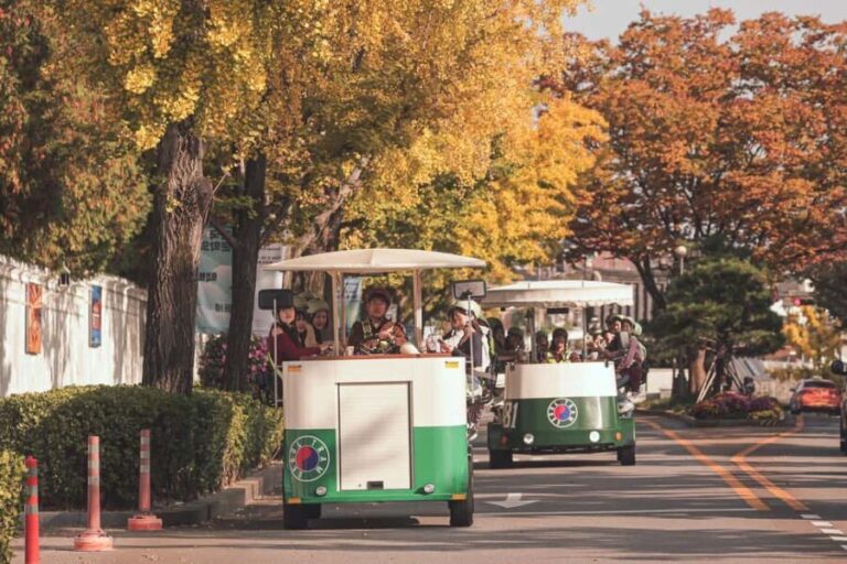 Seoul: Guided Tram Tour with Snacks and Hidden Alleys - Who Will Love This Tour?