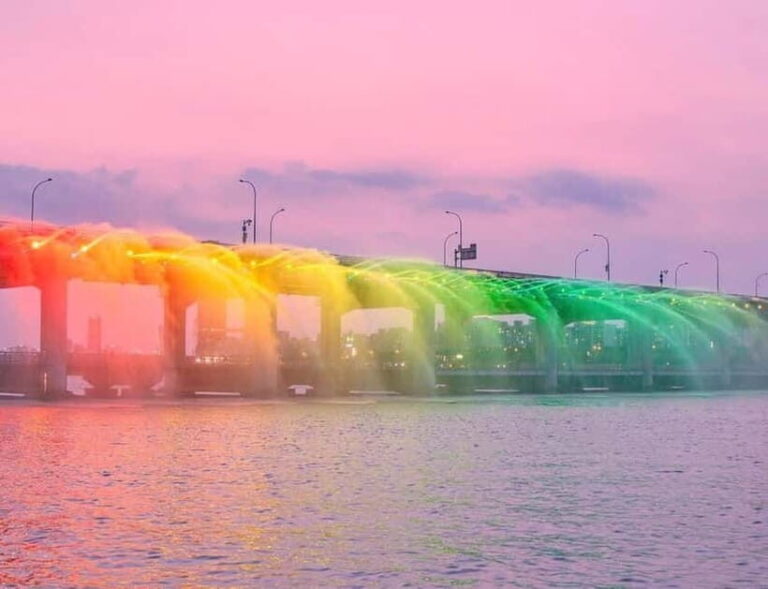 Seoul: Han River Picnic & E-Bike Ride to Rainbow Fountain - The Riverside Picnic: Local Flavors and Casual Comfort