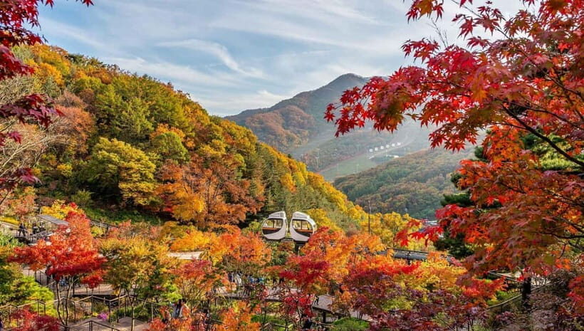 Seoul: Hwadam Forest & Namhansanseong & Korean Folk Village - Who Will Love This Tour?